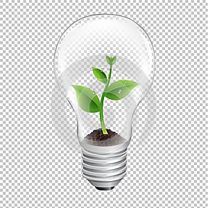 Bulb With Green Sprout Transparent Background