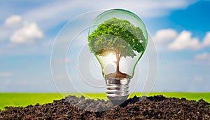 Bulb with a green tree inside. Renewable engeries concept