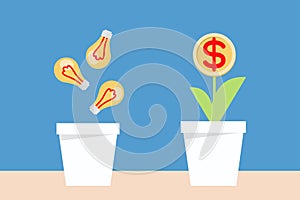 Bulb idea and money planting