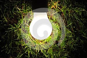 Bulb lamp glowing in the grass