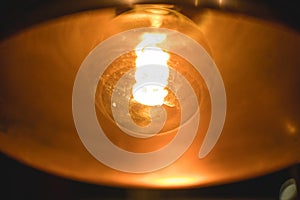 Bulb light with a gold background