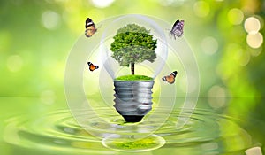 The bulb is located on the inside with leaves forest and the trees are in the light. Concepts of environmental conservation and