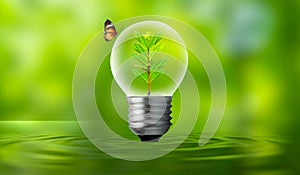 The bulb is located on the inside with leaves forest and the trees are in the light. Concepts of environmental conservation and
