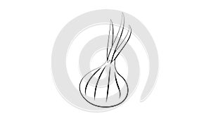 Bulb onion or common onion vegetable line art vector icon for food apps and websites