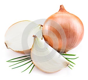 Bulb onion and green onions on a white background.