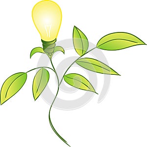 Bulb Wielding Plant