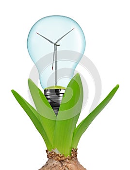 Bulb with wind turbine