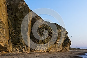 Bulbjerg cliff chalk Denmark