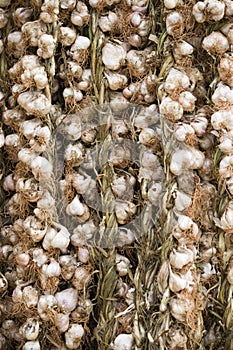 Bulbs of garlic and onions hanging outside a store in Cuba