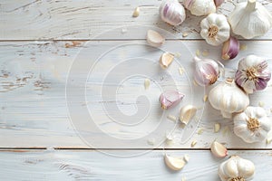 Bulbs of garlic with purple stripes on rustic white wooden background with selective focus