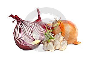 Bulbs of garlic and red onion