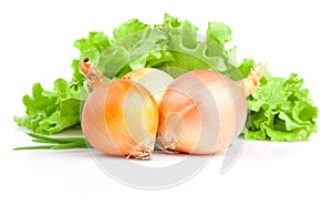 Bulbs of onion, Scallions and Fresh lettuce bunch photo