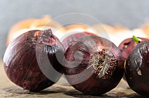 Bulbs of onions (Allium cepa) on concrete background