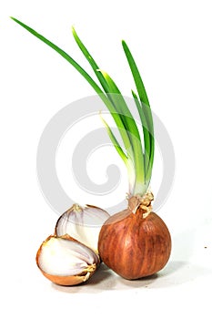 Bulbs of red onion