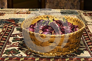 Bulbs of red onion, intended for planting, in a small birch-bark basket