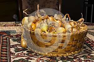 Bulbs of red onion, intended for planting, in a small birch-bark basket