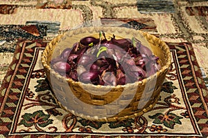 Bulbs of red onion, intended for planting, in a small birch-bark basket