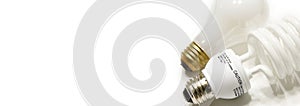 Bulbs Web Banner photo