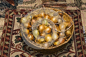 Bulbs of yellow onion, intended for planting, in a small birch-bark basket