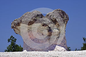 Bulgaria, Mushroom Rocks