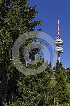 BULGARIA RHODOPE MOUNTAIN SUMMER