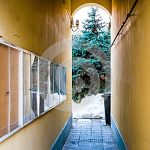 Bulgaria, Ruse, winter arch