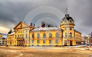 The Bulgarian Academy of Sciences