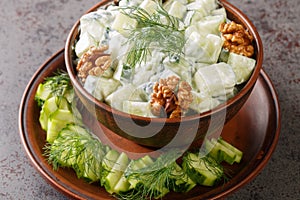 Bulgarian Cucumber and Yogurt Salad Snezhanka close-up in a bowl. Horizontal