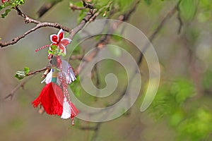 Bulgarian martenitsa or martisor. Traditional symbol of holiday baba Marta on March 01