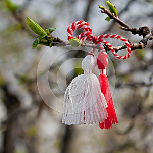 Bulgarian Martenitsa