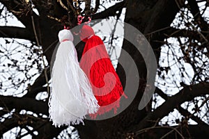 Bulgarian martenitsa on a tree