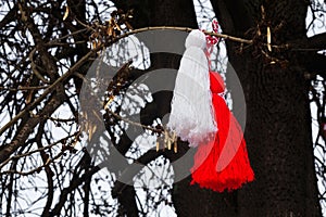 Bulgarian martenitsa on a tree