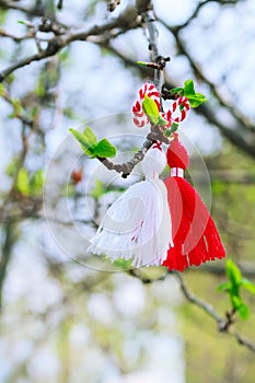 Bulgarian Martenitsa on the tree branch