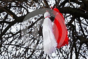 Bulgarian martenitsa on a tree