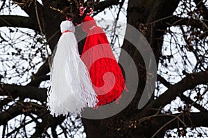 Bulgarian martenitsa on a tree