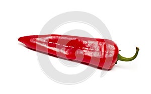 Bulgarian pepper isolated