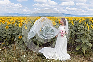 Bulgarian sunflower field with happy bride