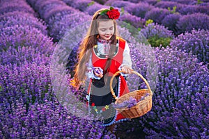 Bulgarian woman in traditional folklore costume picking lavender in basket during sunset. Young girl in a field