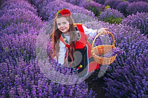 Bulgarian woman in traditional folklore costume picking lavender in basket during sunset. Young girl in a field
