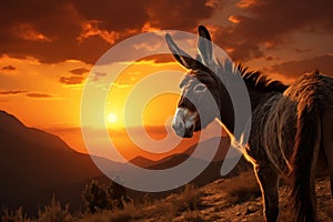 Bulgarias charm, donkey silhouette embraces the beauty of sunset