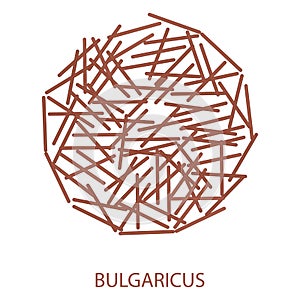 Bulgaricus Icon. Probiotic Concept Logo and Label. Health Research Symbol, Icon and Badge. Cartoon Vector illustration photo