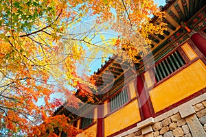 Bulguksa temple with autumn leaves in Gyeongju, Korea