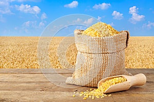 Bulgur in sack with field of wheat on the background