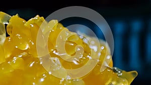 Bulir of Orange Fruit