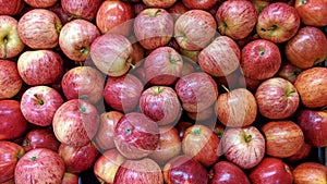 Bulk apples