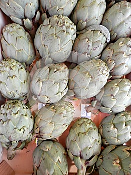 A bulk of artichokes