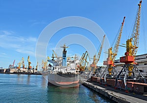 Bulk cargo ship and train under port crane