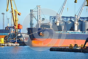 Bulk cargo ship under port crane