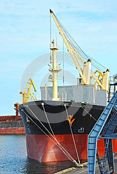 Bulk cargo ship under port crane