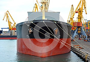 Bulk cargo ship under port crane